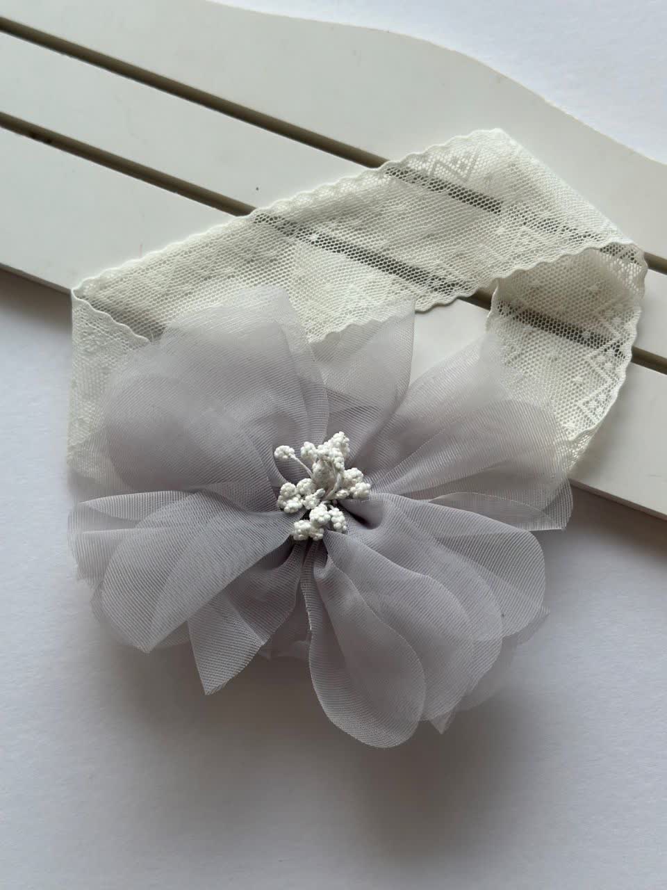 photo27864462824